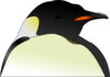 Penguin Turned Head Clip Art